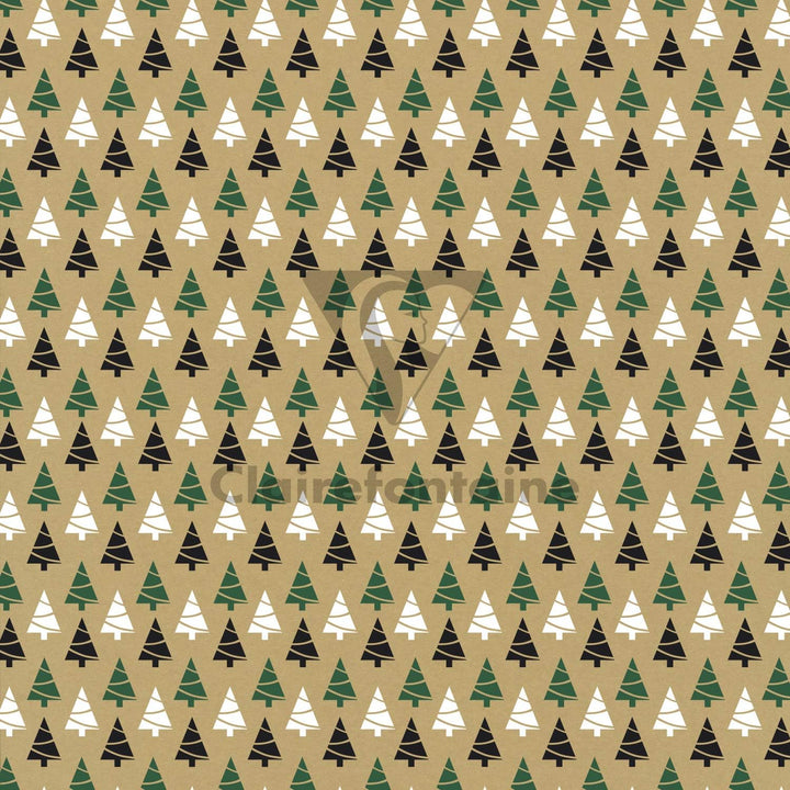 Clairefontaine 211421AMZC - Karton mit 12 Rollen Geschenkpapier Kraftnatur 2mx0m70 70g, sortierte Mo