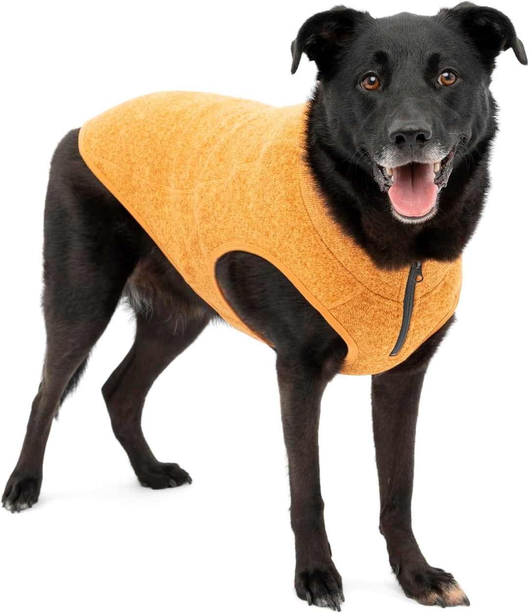 Kurgo Core Hunde-Pullover, Leichtes Fleece, Mit 2-Wege-Reissverschluss, Mit Hundegeschirr kompatibel