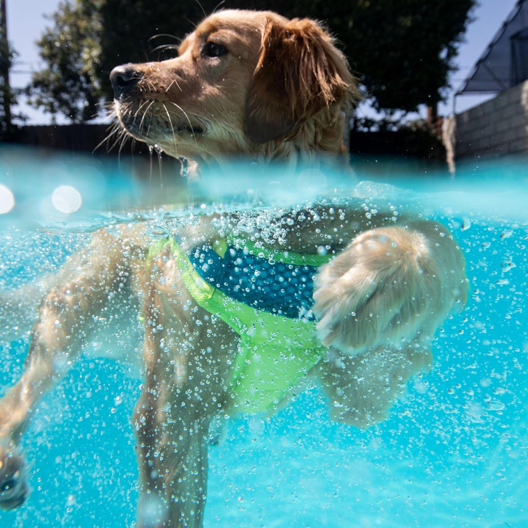 Outward Hound Standley Sport Green Performance Schwimmweste für Hunde, Grösse S Grün Small (Chest Gi