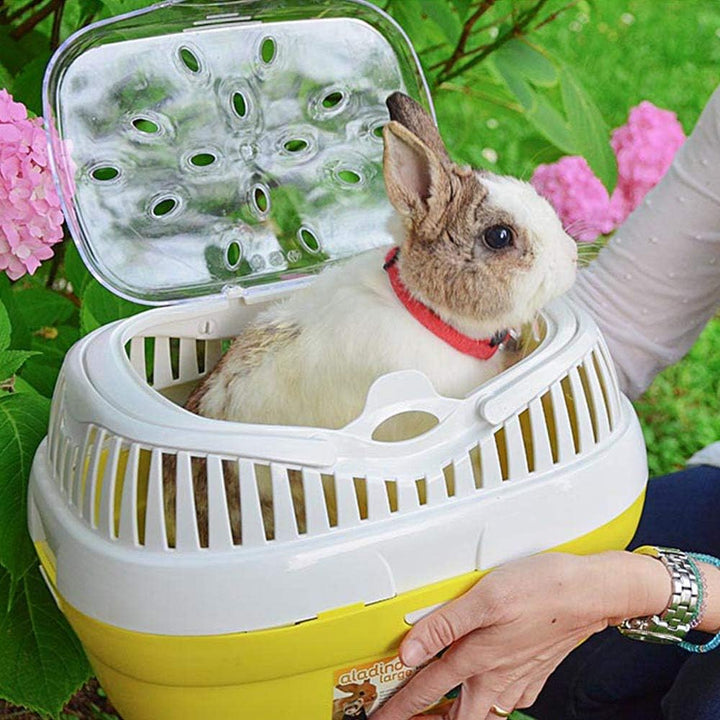 Ferplast Transportbox für Hamster und andere kleine Nagetiere Aladino Large Reisekäfig für Hamster,