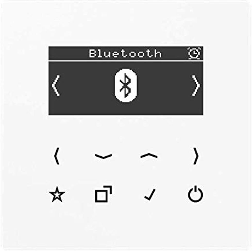Jung DAB LS BT SW Smart-Radio, DAB+ und Bluetooth, Alpinweiss, Weiss
