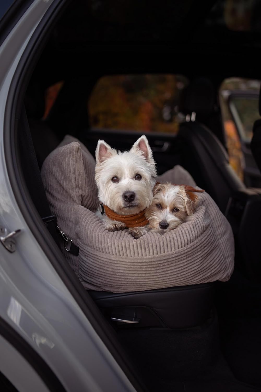 Personalisiert Hunde Autositz, Autositze Hund Rückbank mit Leine, Hundeautositz mit Hundenamen, Hund