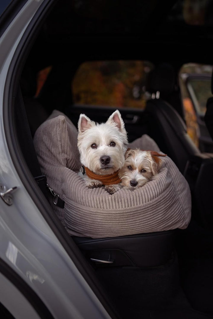 Personalisiert Hunde Autositz, Autositze Hund Rückbank mit Leine, Hundeautositz mit Hundenamen, Hund
