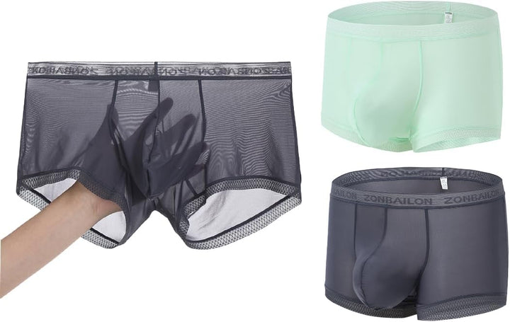 BIATWOWR Herren Slips Transparent Sexy Unterwäsche mit Beutelverstärkung mehr Attraktivität und Komf