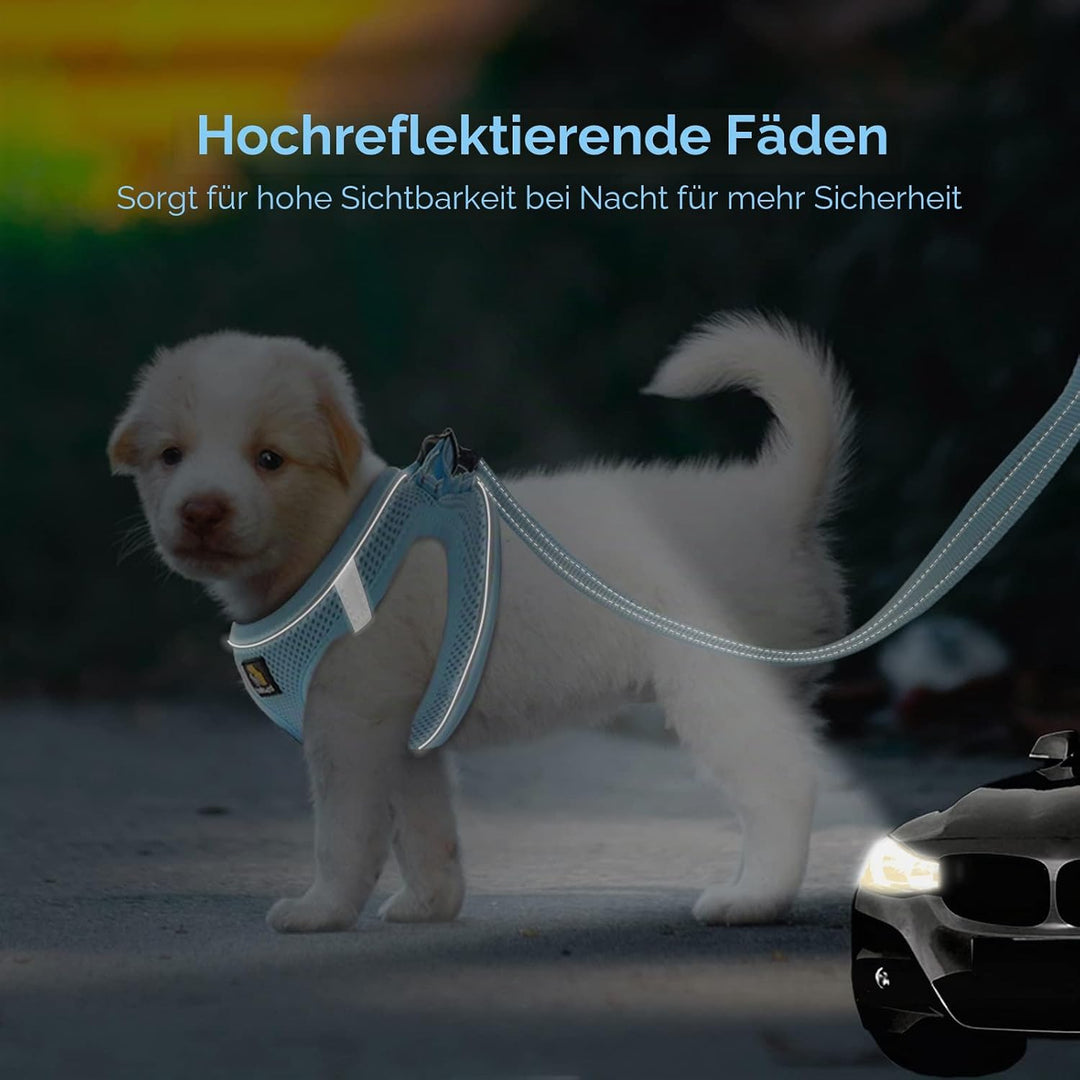 BELLA &amp; PAL Hundegeschirr Kleine Hunde mit Leine, Step-in Geschirr aus Air Mesh, Anti Zug Reflektier