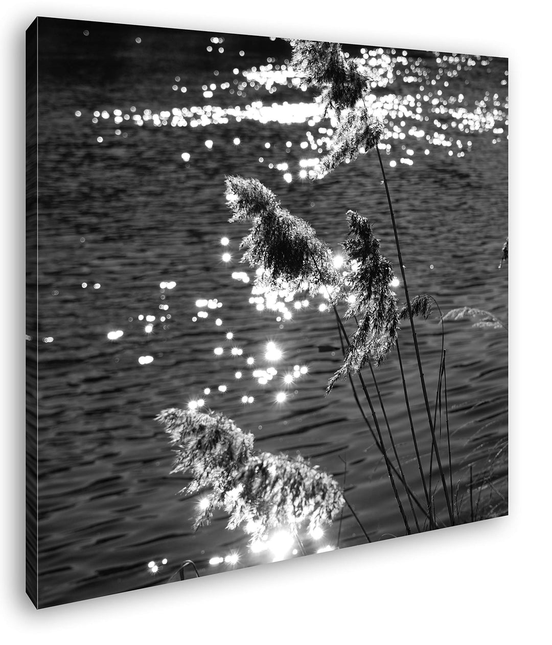 deyoli Schilf mit schimmernden Wasser im Format: 70x70 Effekt: Schwarz&Weiss als Leinwandbild, Motiv