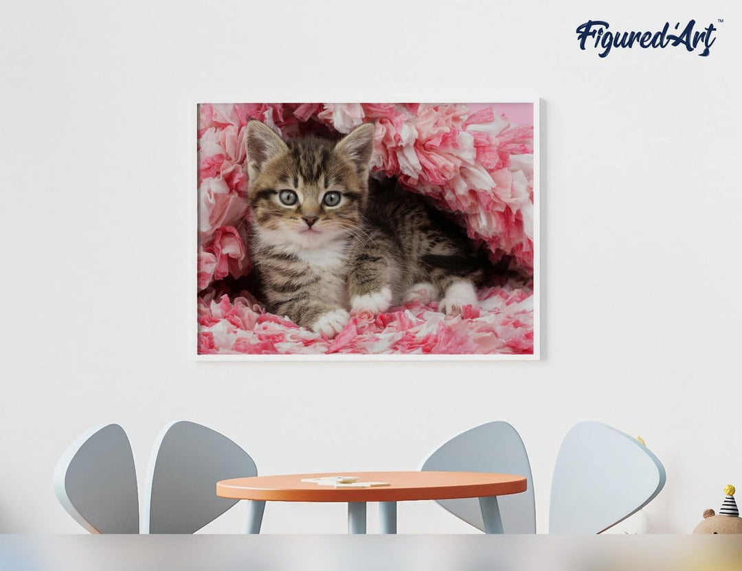 Figured'Art Malen Nach Zahlen Erwachsene Mit Rahmen Katze unter Decke - Paint by Numbers Basteln DIY