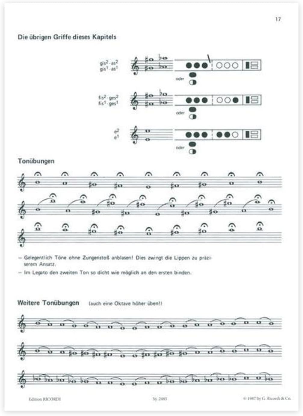 Lern Querflöte spielen - Band 1 - mit NOTENBLEISTIFT - ISBN: 9783931788391