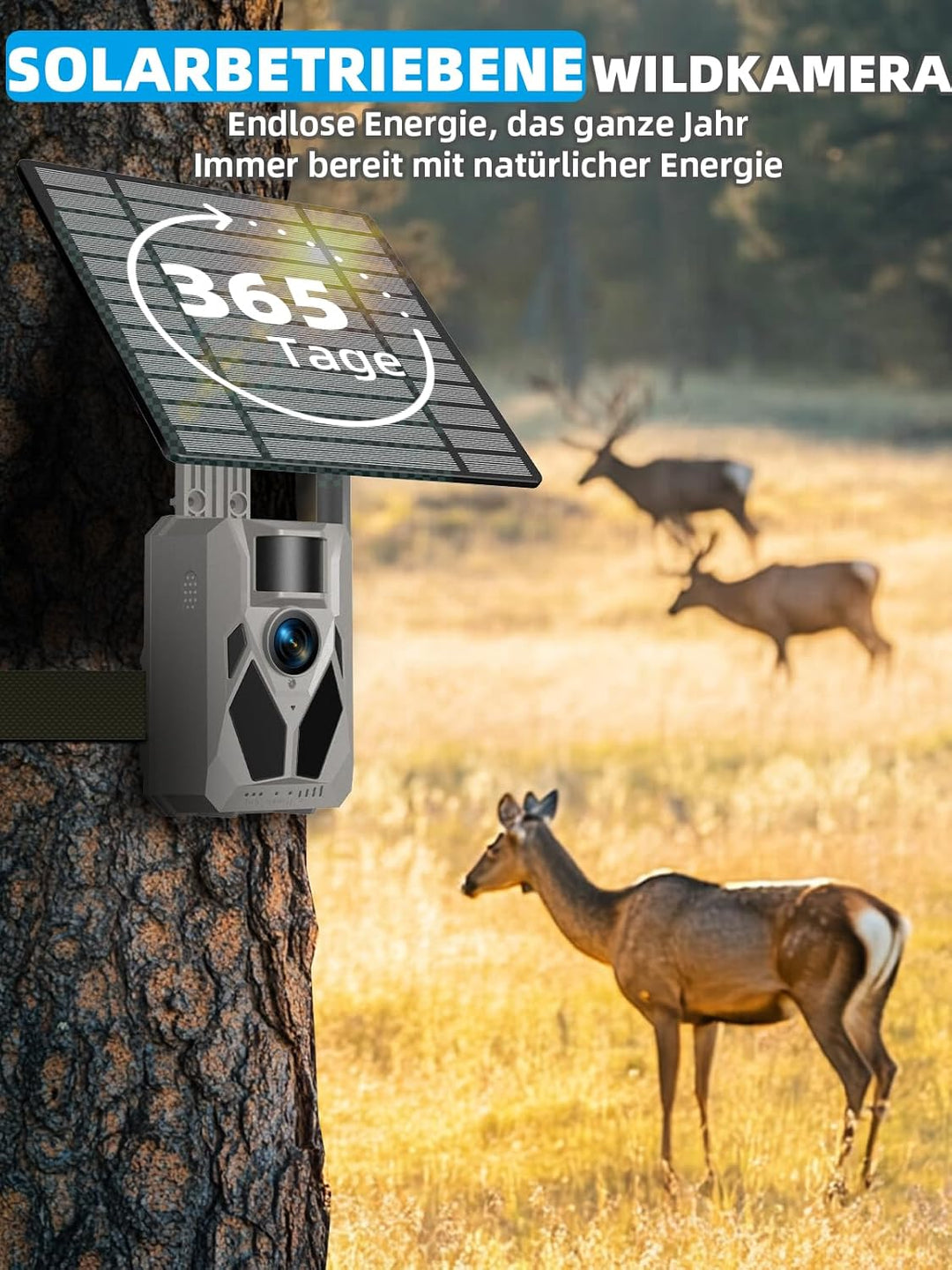 Wildkamera, 4G LTE Wildkamera mit Handyübertragung APP, 2,5K Wildtierkamera Solar mit SIM Karte, Bew