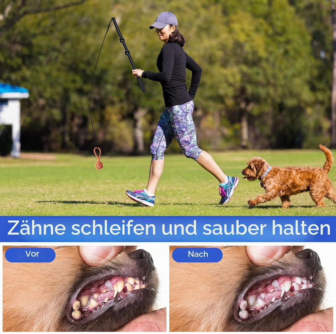 GBKDQQ Reizangel Hunde, Profi Reizangel für Kleine Hunde Grosse Hund Längenverstellbare mit Ersatzse