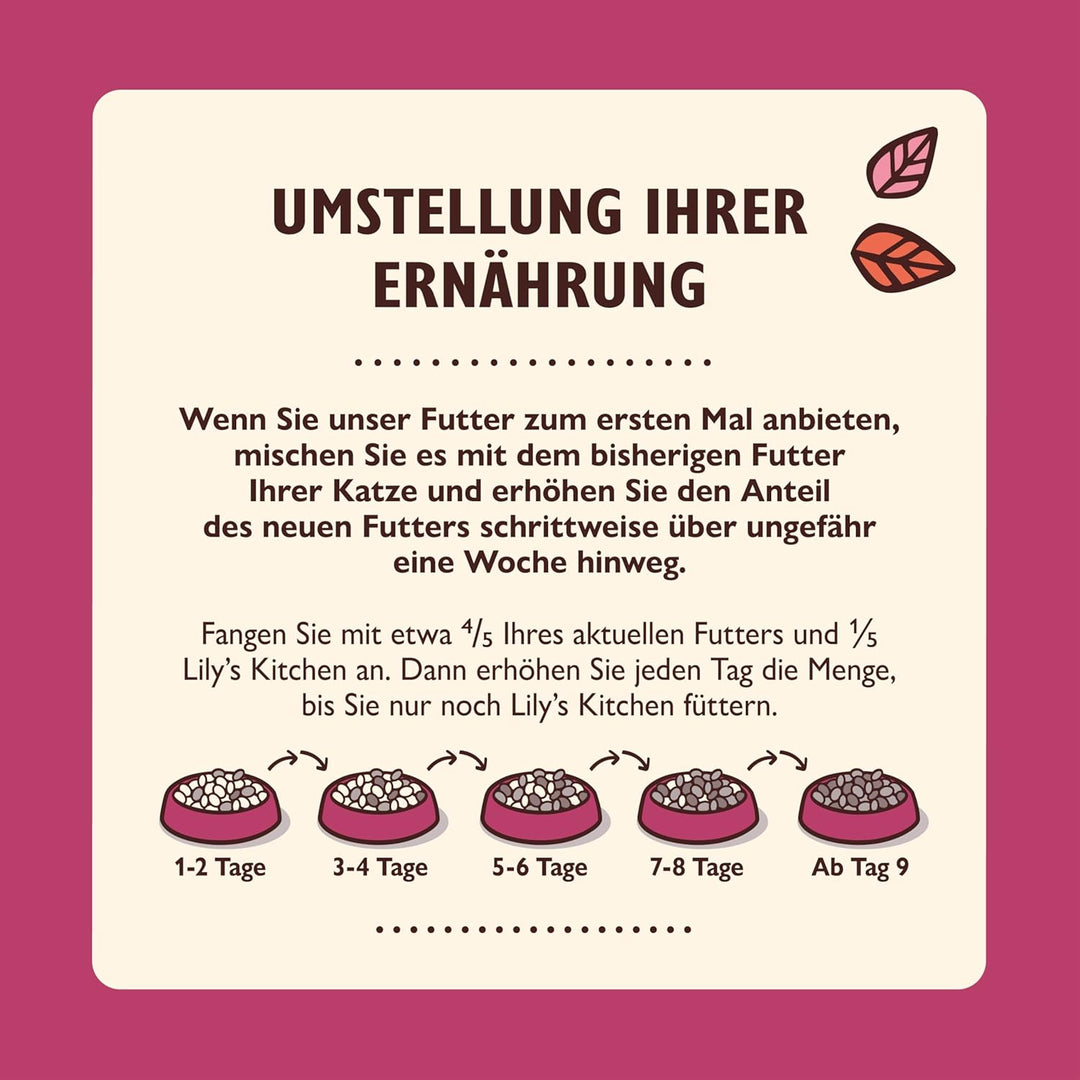 Lily’s Kitchen Premium Nass Katzenfutter für ausgewachsene Katzen 19 Schalen (19 x 85g) Lammfleisch-