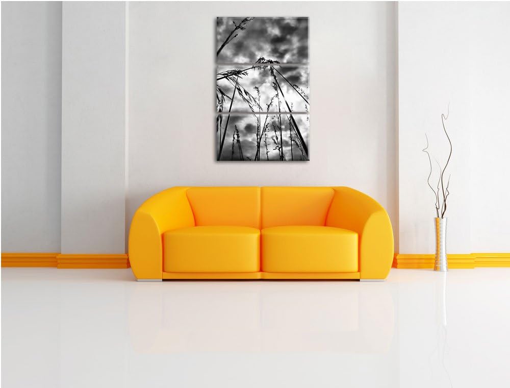 Pixxprint Monocrome, Grashalme mit dunklem Himmel 3-Teiler Leinwandbild 120x80 Bild auf Leinwand