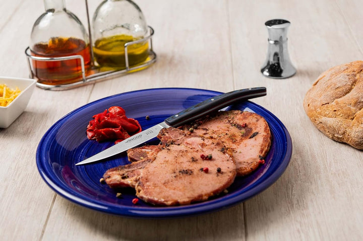 Arcos 373723 Table Messer - Steakmesser Tafelmesser - Klinge Nitrum Edelstahl 110 mm - HandGriff ABS