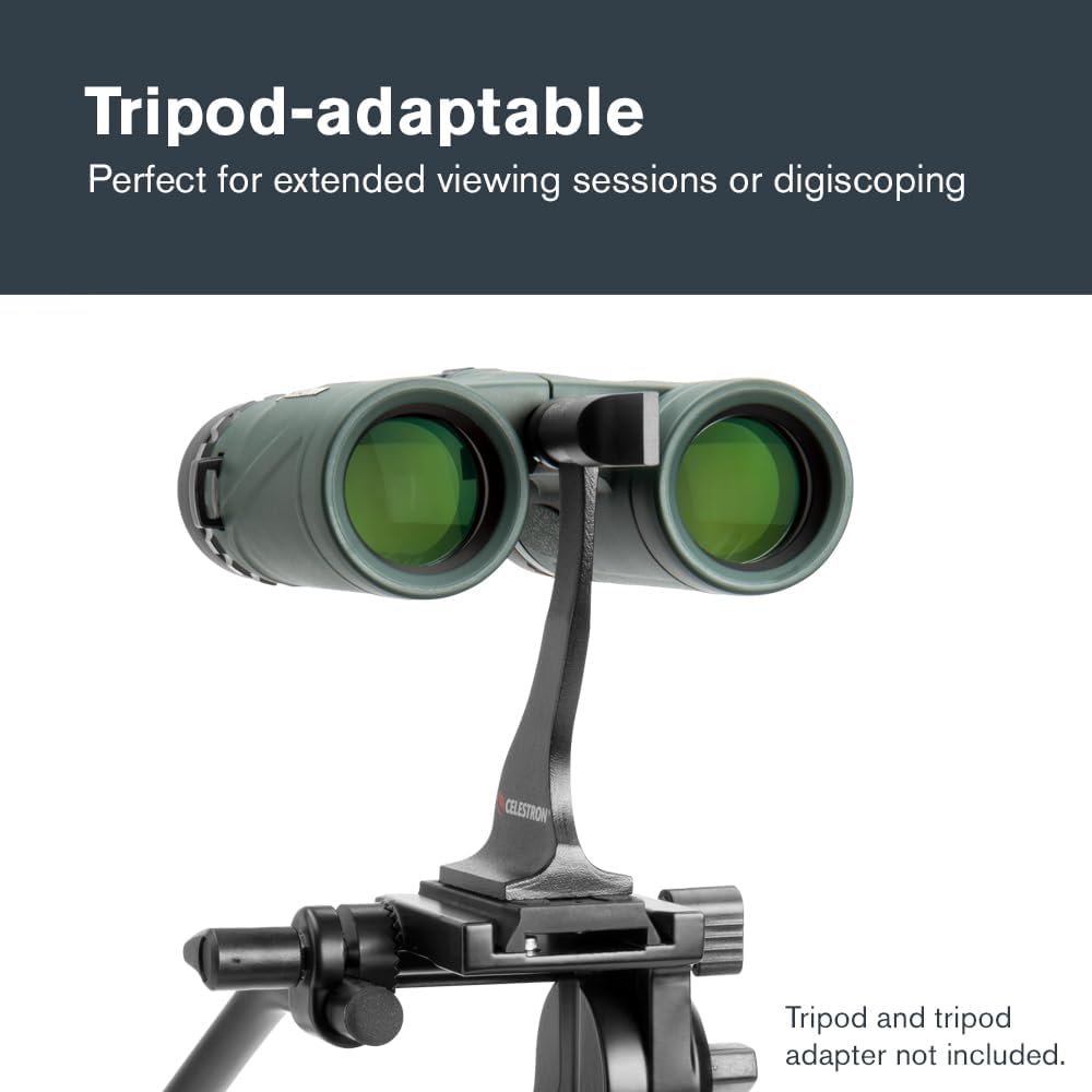 Celestron 71330 8 x 32 DX Nature Fernglas – Grün