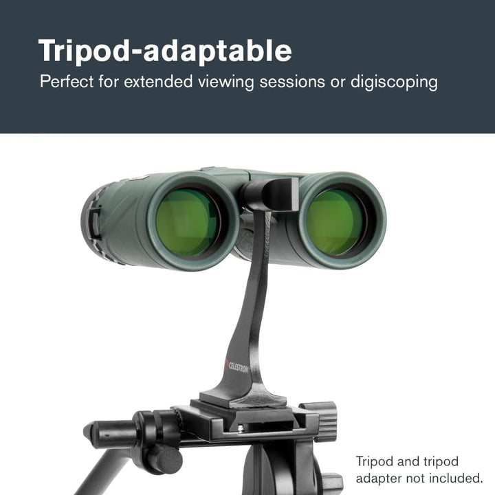 Celestron 71330 8 x 32 DX Nature Fernglas – Grün