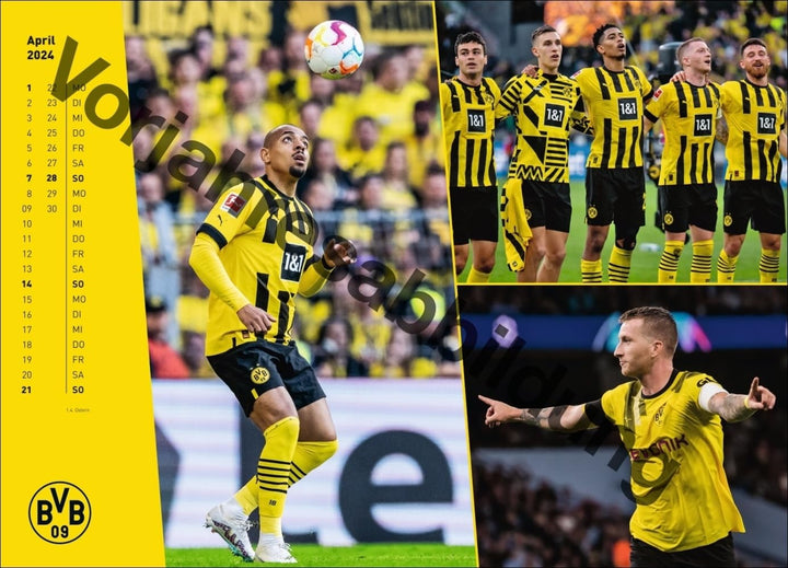 BVB Edition Kalender 2025: Grosser Wandkalender. Einzigartiger Fotokalender mit allen Stars von Boru