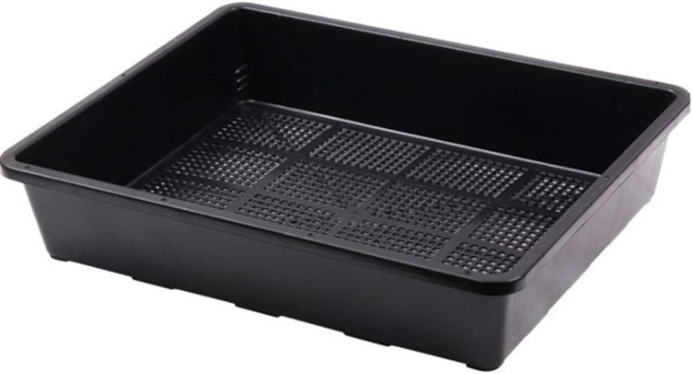 HEMOTON Anzuchtkasten Zimmergewächshaus 20pcs Kleine Anzuchttöpfe mit Deckel Pflanzen Anzucht Topfpl