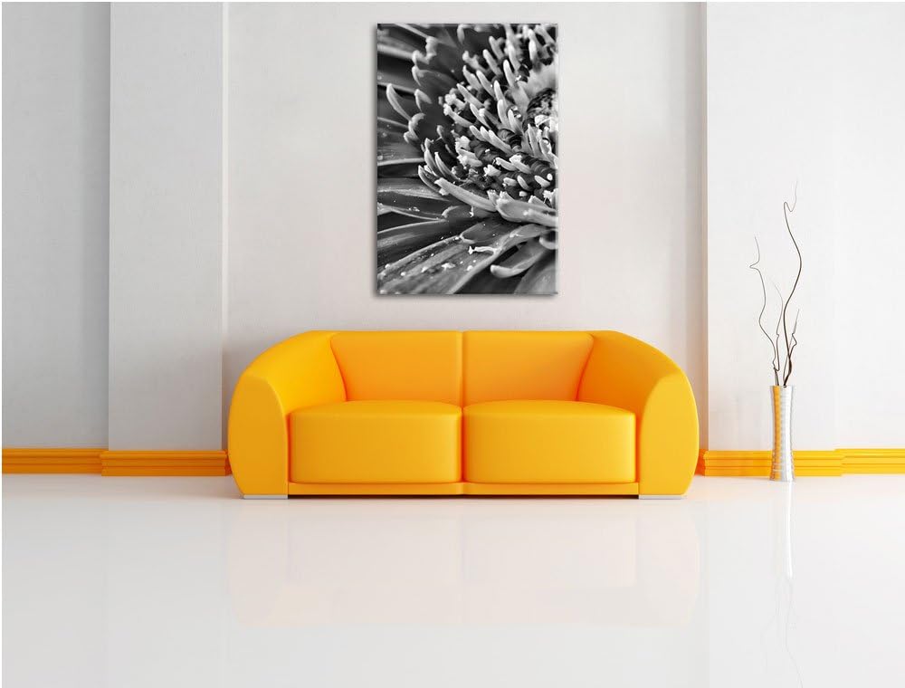 Pixxprint Monocrome, Gerbera mit Wassertropfen, Format: 100x70 auf Leinwand, riesige Bilder fertig g