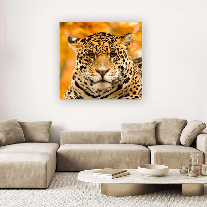 Startonight Bilder Jaguar, Leinwandbilder Moderne Kunst, Tiere Wanddeko Kunstdrucke, Wandbilder 80 x