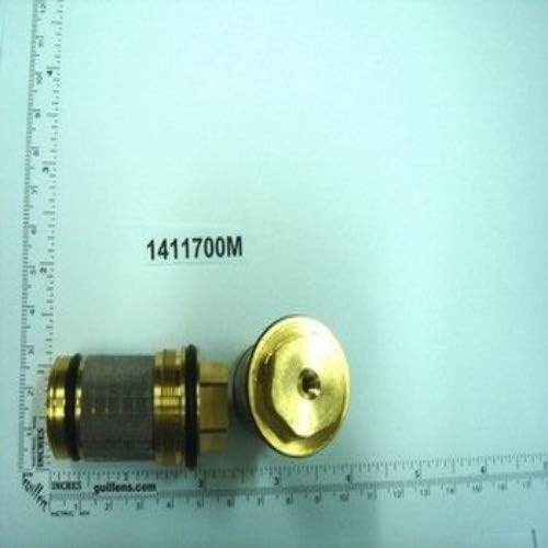 GROHE Rückflussverhinderer, 3/4″ (Mehrfachverpackung: 2 Stück), 1411700M