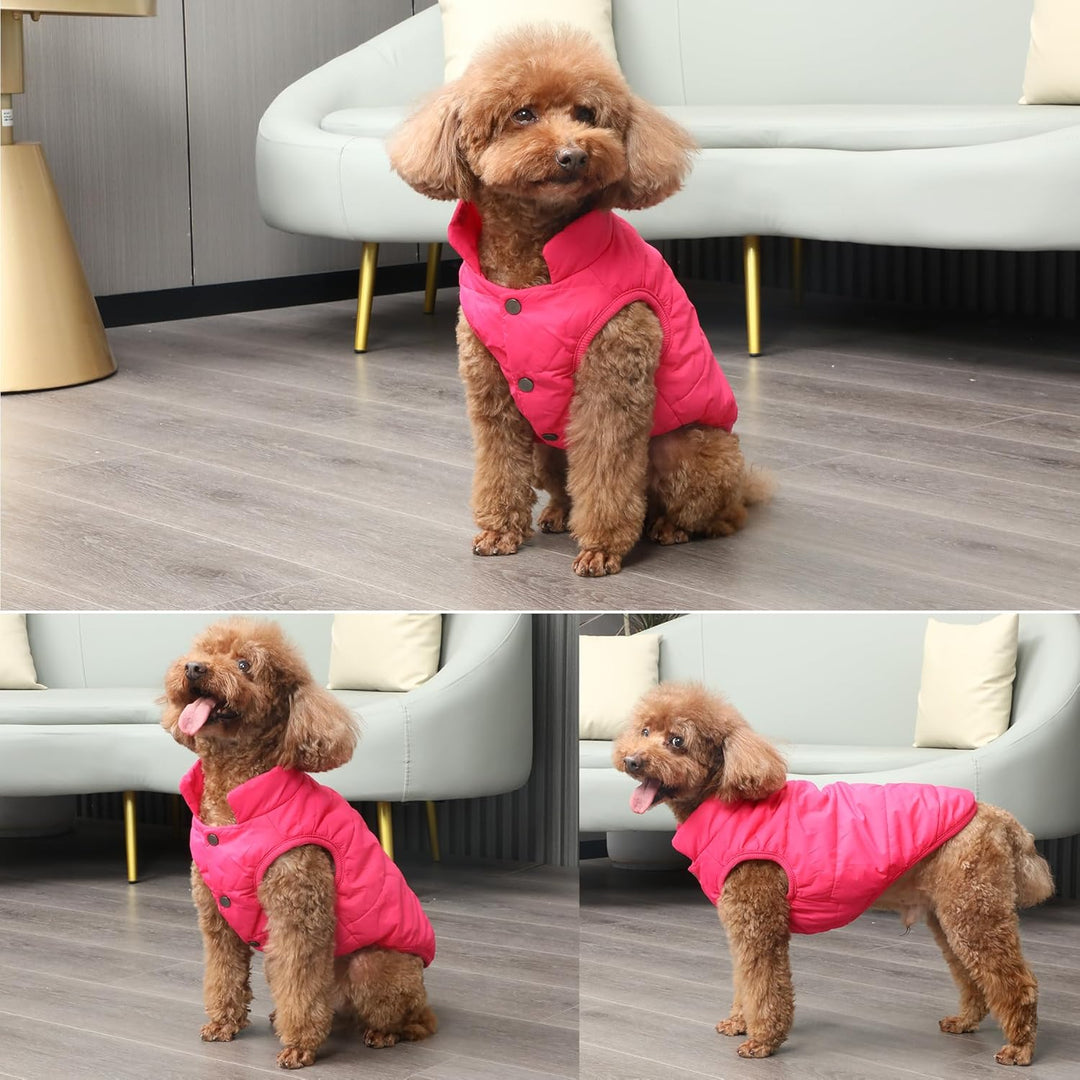JoyDaog 2-lagige mit Fleece gefütterte Hundejacke, sehr warm für Winter und kaltes Wetter, extraweic