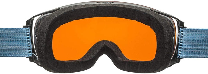ALPINA Unisex Skibrille Skibrille (1er Pack) Einheitsgrösse grey-skyblue, Einheitsgrösse grey-skyblu