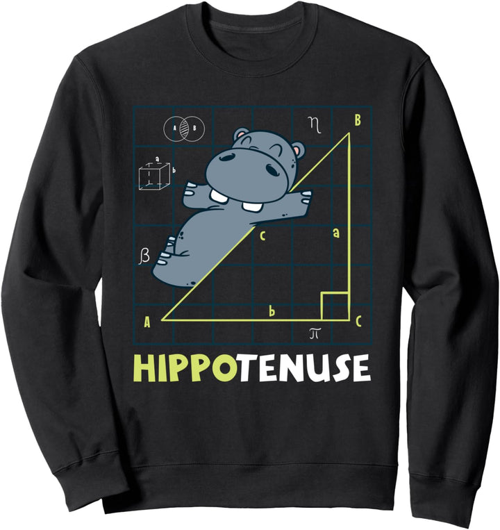 Hippotenuse witziges Mathematik Geometrie Geschenke Sweatshirt