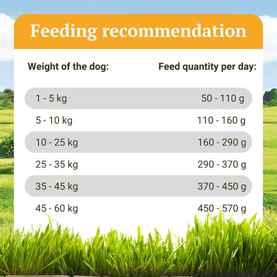 Bellfor Wildbach-Schmaus Getreidefreies Trockenfutter mit Lachs- und Forellengeschmack 7,5 kg - idea