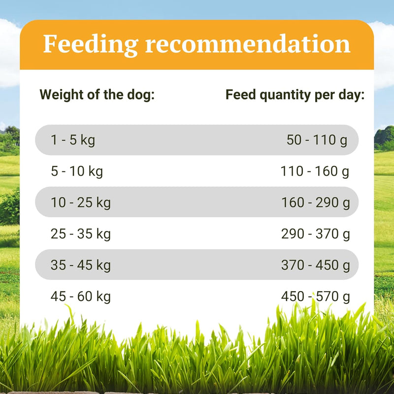 Bellfor Wildbach-Schmaus Getreidefreies Trockenfutter mit Lachs- und Forellengeschmack 7,5 kg - idea