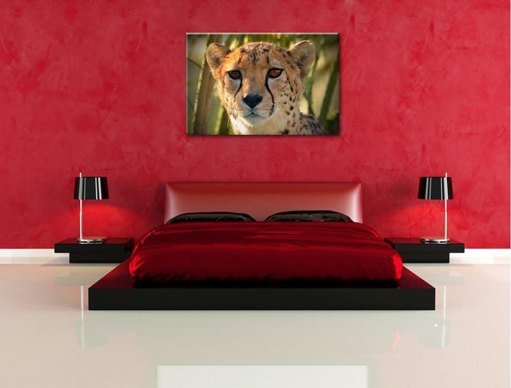 Pixxprint junger Gepard im Dschungel auf Leinwand, XXL riesige Bilder fertig gerahmt mit Keilrahmen,