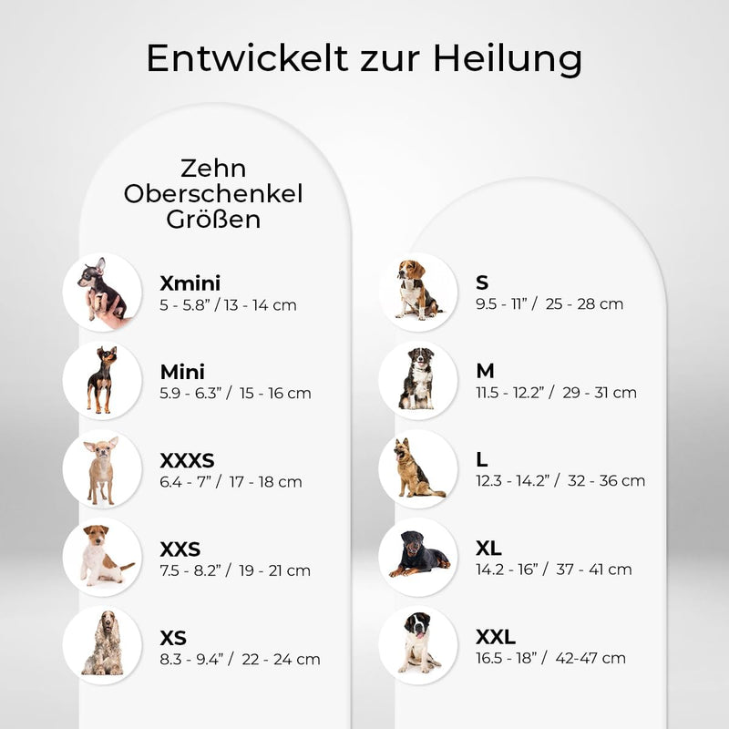 Ortocanis - Kniebandage Hund Hinterbein für das Linke Bein - Hergestellt aus Neopren ARD - Bei Kreuz