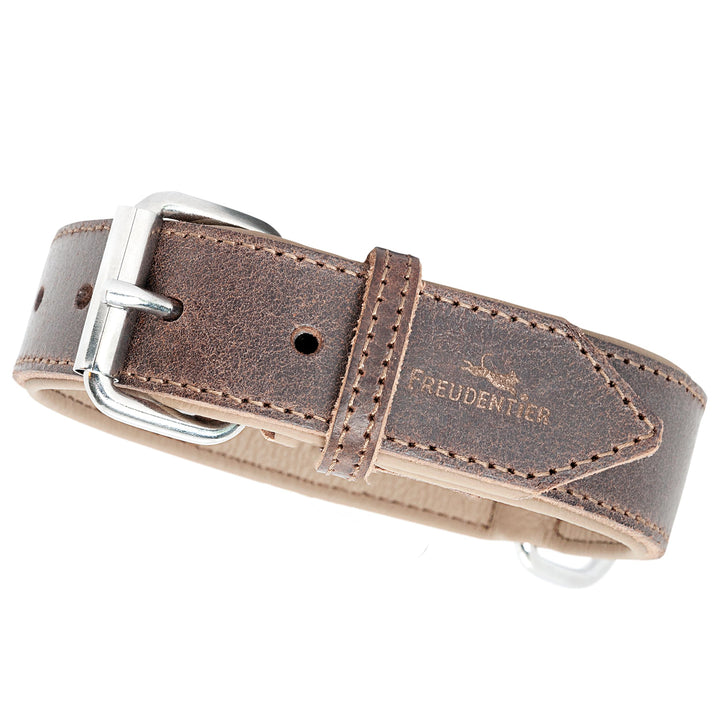 FREUDENTIER Hundehalsband aus Leder, Made in Holland, gefüttert & super komfortabel, hochwertiges br