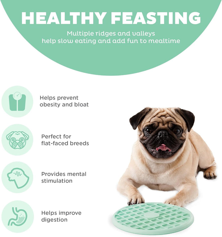 Outward Hound Fun Feeder Slo Tray Slow Feeder Hundenapf für Französische Bulldoggen und andere brach