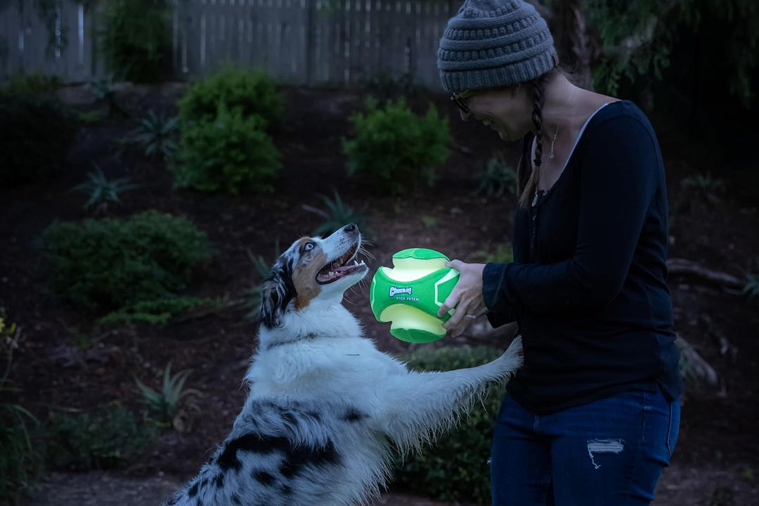 Chuckit Max Glow Kick Fetch , Small Grün Small, Grün Small