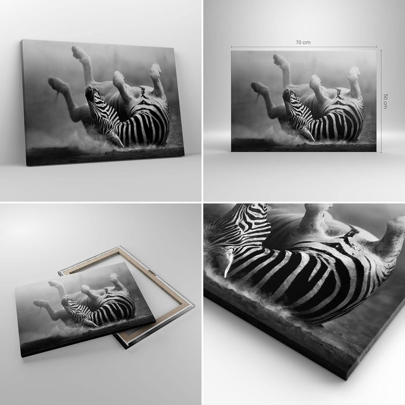 Bilder auf Leinwand Zebra Streifen Tier wild Leinwandbild 70x50cm Wandbilder Dekoration Wohnzimmer S