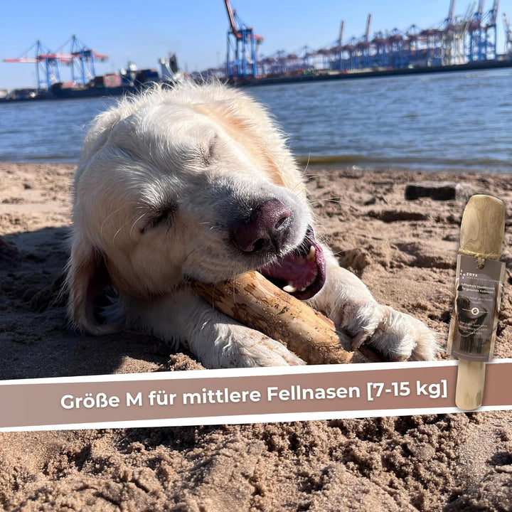 Zoys® Kaffeeholz für Hunde - Natürlicher Kauknochen für Hunde in 5 Grössen - Kaustab für Zahnreinigu