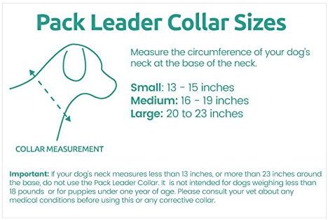 Cesar Millan Pack Leader Collar™ - Trainingshalsband des Hundeflüsterers Cesar Millan (Klein, Grau)