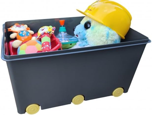 BDW Aufbewahrungsbox mit Deckel - Kiste für Kinderzimmer, Kindergarderobe, Sortierbox - Spielzeug Au