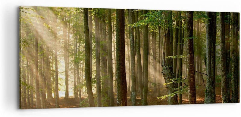 Panorama Bilder auf Leinwand 100x40cm Leinwandbild mit Rahmen Wald Baum Natur Gross Wanddeko Bild Sc