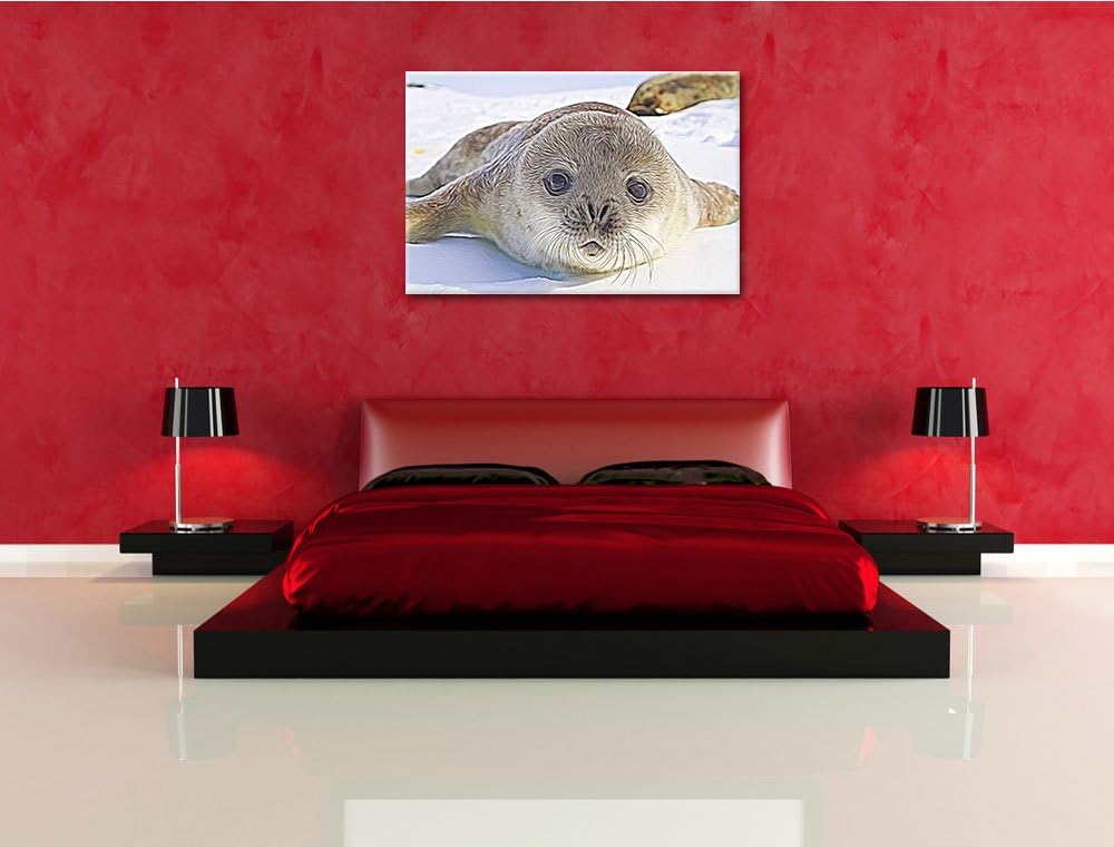Süsses Robben Baby Deluxe Format: 100x70 cm auf Leinwand, XXL riesige Bilder fertig gerahmt mit Keil