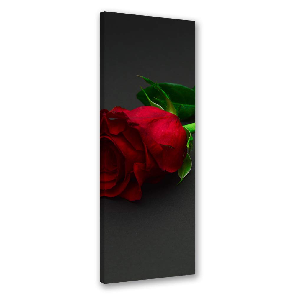 Feeby Bild auf Leinwand Rose Kunstdruck modern Blume Rot 30x90 cm Leinwandbild 30x90 cm Rot_b, Leinw