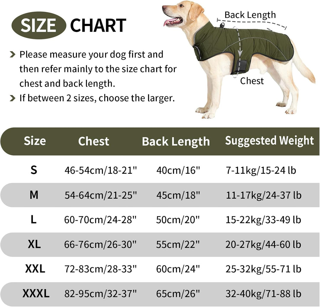 HEYWEAN Mantel Hund Wasserdicht Hundemantel Warm Winter Hundejacke Fleece Hunde Pullover Wintermante