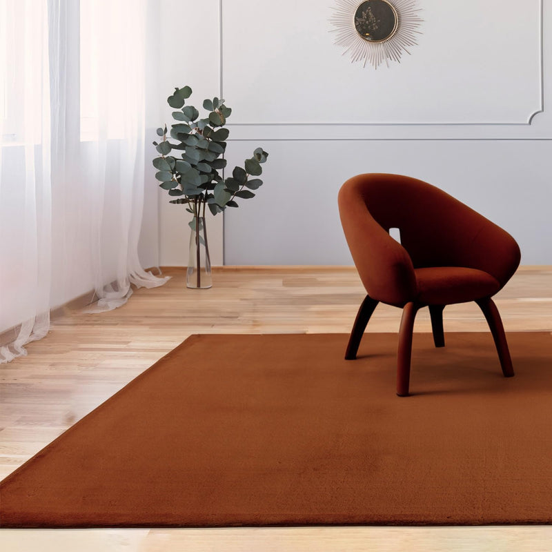 payé Teppich Wohnzimmer Hochflor - 120x170cm - Terracotta - Super Soft Kuschelweich Flauschig Modern