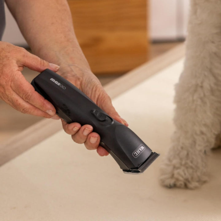 Agrarzone Edition Wahl Moser Max Go Hundeschermaschine mit Aufsteckkamm-Set - Kraftvolle Akku Scherm