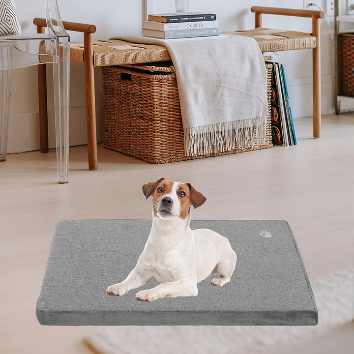 EMPSIGN Hundebett Mittelgrosse Hunde Hundekissen Waschbar, Hundebett Wasserdicht M 74x46x5.8cm, Hund