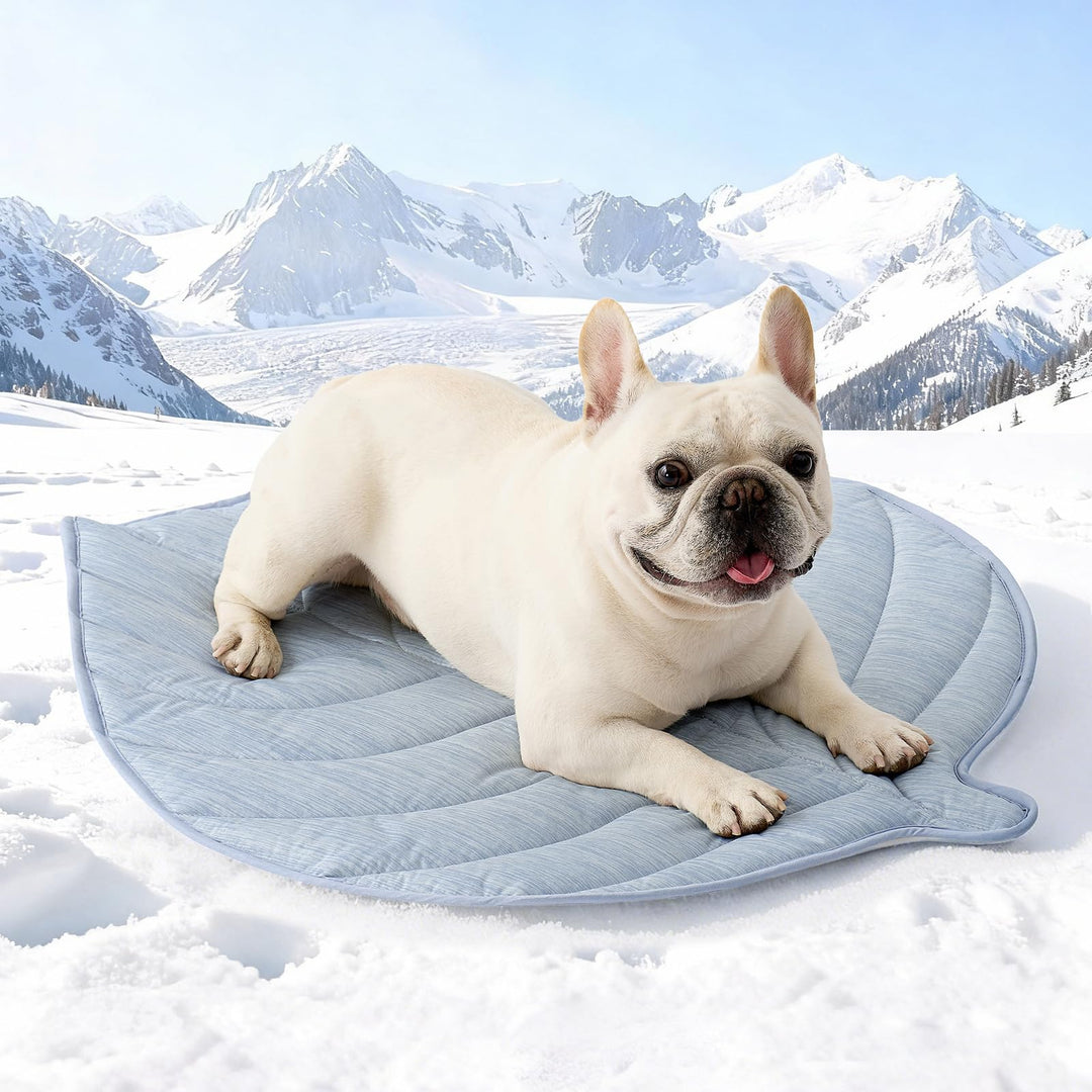 COZY KISS Kühlmatte Hunde & Katzen 83x71cm, Kühldecke mit Blattform-Gewebe Q-Max>0.4, Selbstkühlende