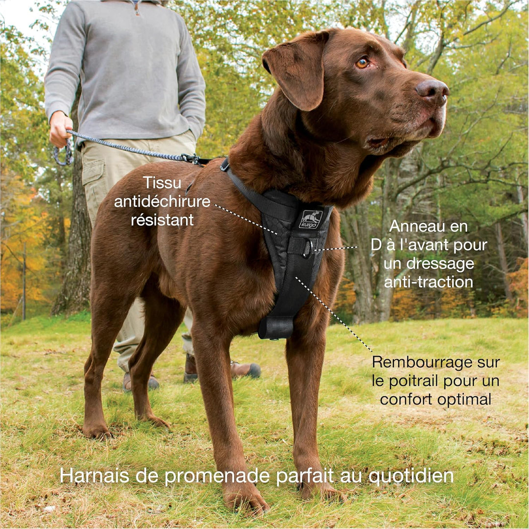 Kurgo Tru-Fit Smart Hundegeschirr, Mit gepolstertem Brustteil und D-Ring, Inklusive Autosicherheitsg