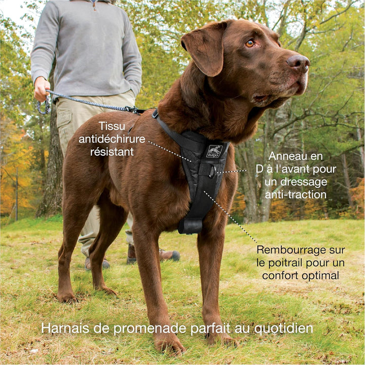 Kurgo Tru-Fit Smart Hundegeschirr, Mit gepolstertem Brustteil und D-Ring, Inklusive Autosicherheitsg