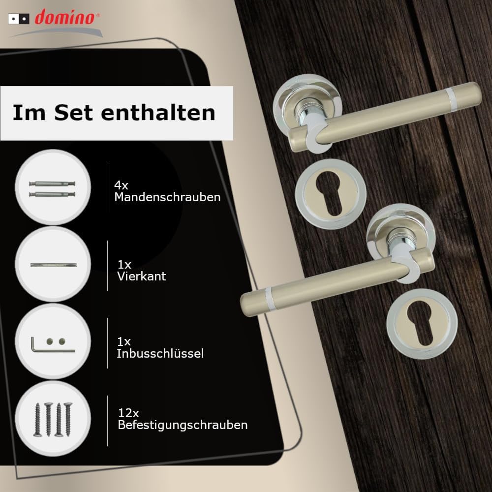 domino Türgriff DELPHI-R M6/M9 PZ-Profilzylinder Drückergarnitur für Zimmertüren Türdrücker-Set Rose