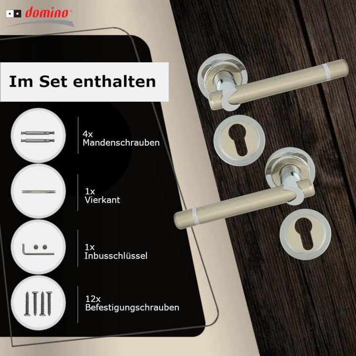 domino Türgriff DELPHI-R M6/M9 PZ-Profilzylinder Drückergarnitur für Zimmertüren Türdrücker-Set Rose